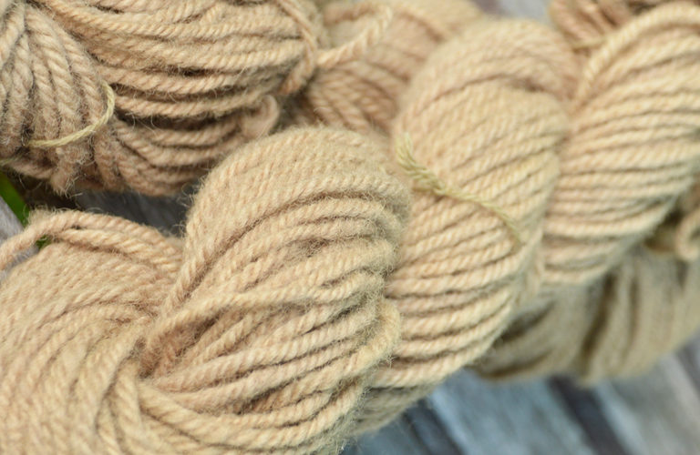 Natural Dyeing: Exhaust and Osage